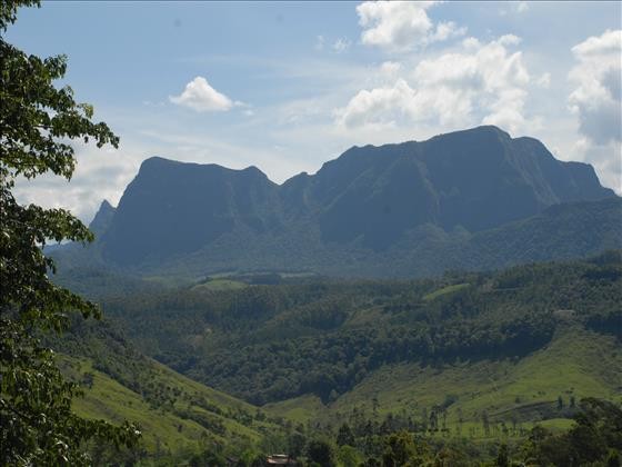 Grão Pará