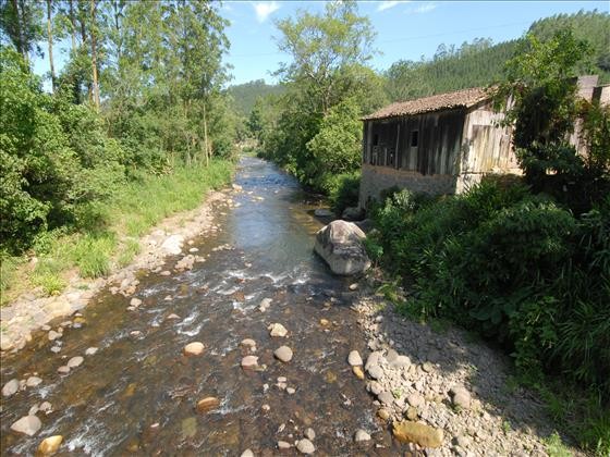Grão Pará