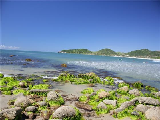 Praia do Rosa